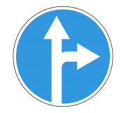 4.1.4. "Straight ahead or right"